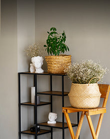 Ordnung & Aufbewahrung