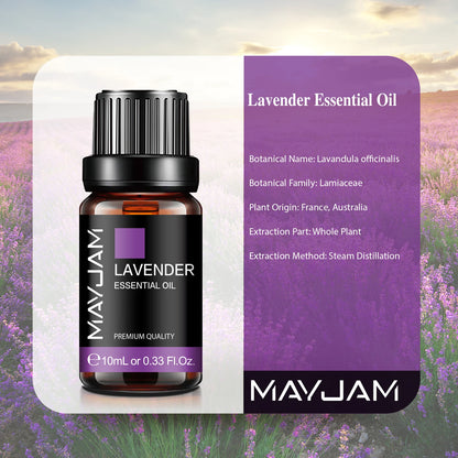 Lavéra – Ätherisches Öl 10 ml für Diffusor &amp; Aromatherapie
