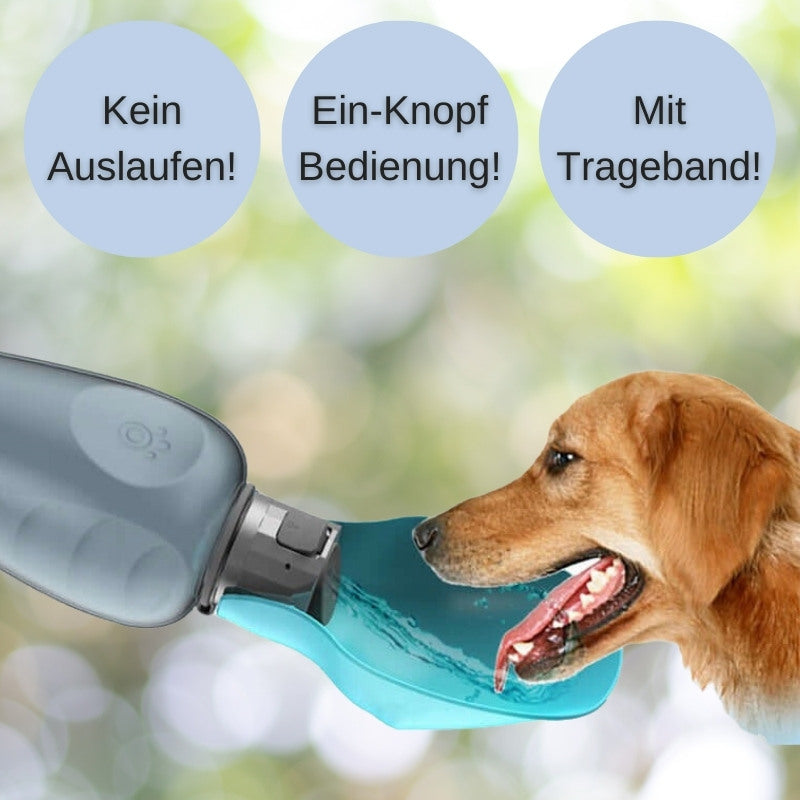 Doggie Drinker De Luxe